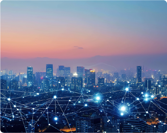 City Network
